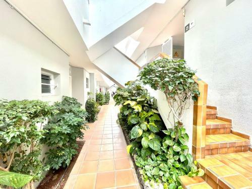 Apartamento Studio 10 Minutes Walk From Los Cristianos Beach
