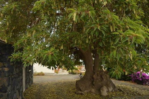 Agroturismo Casona Rural Los Melindros