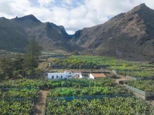 Villa Hacienda Camino de La Cruzada