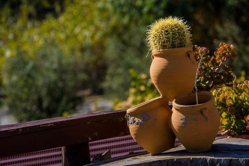 Bed & Breakfast Cortijo 4 Elementos