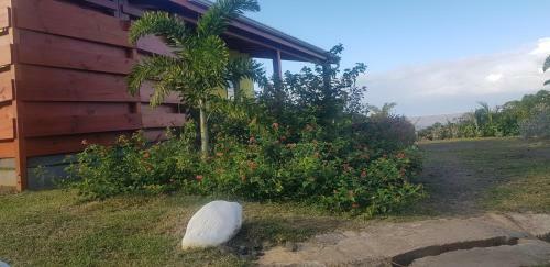 L'aliz�e & Spa Jacuzzi Privatif Haut de Gamme