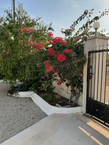 Bed & Breakfast La Dolce Vita