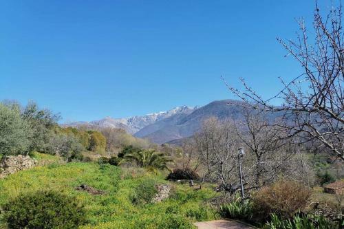 Casa Rural: La Casa M�gica de Gredos
