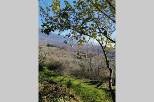 Casa Rural: La Casa M�gica de Gredos