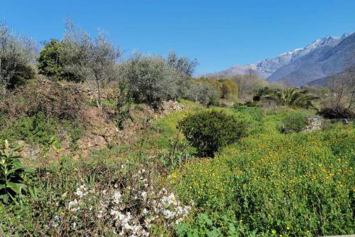 Casa Rural: La Casa M�gica de Gredos