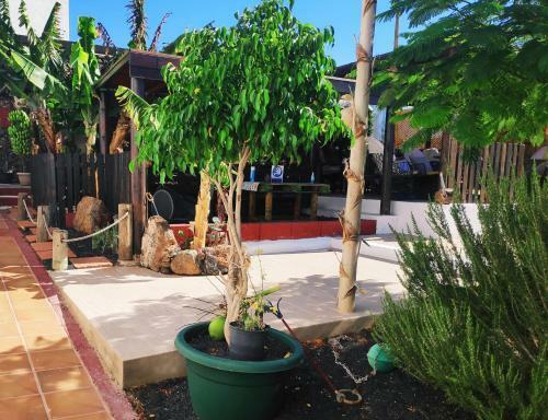 Agroturismo Finca Luc�a