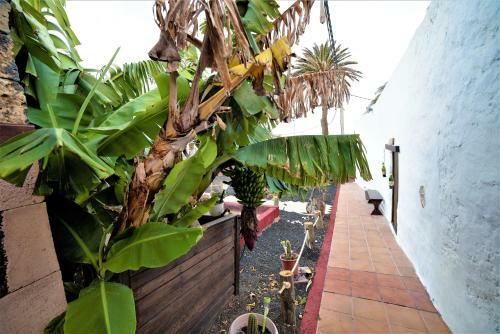 Agroturismo Finca Luc�a