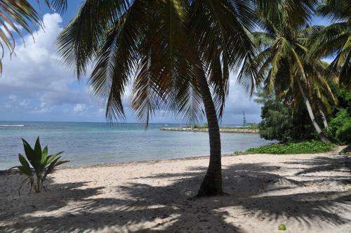Apartamento Studio Anse-des-rochers