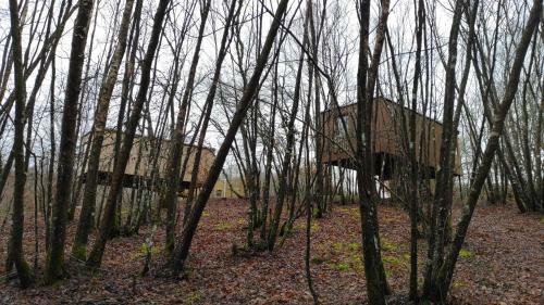 Apartamento Glamping Cabanas Das Chousas
