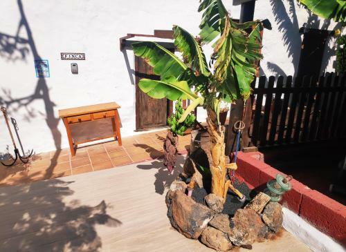 Apartamento Finca Luc�a - Los Hervideros