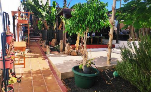 Apartamento Finca Luc�a - Los Hervideros
