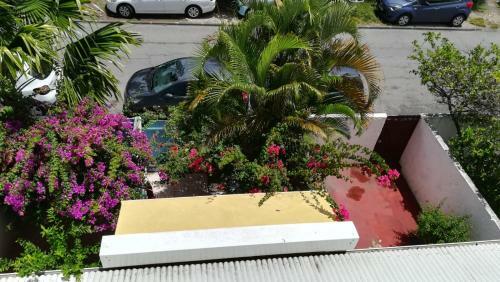 Apartamento Marina de Saint-fran�ois: Studio Avec Piscines