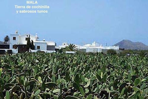 Apartamento Casa "gara" Mala-lanzarote Norte