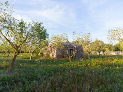 Agroturismo Malbuger Nou Menorca -adults Only-