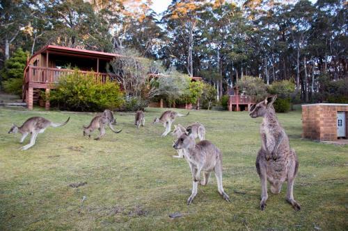 Hostal Jenolan Caves House