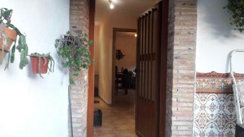 Apartamento Casa Del Rat�n Y La Rana