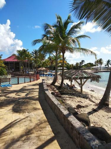 Apartamento Cannelle Cara�bes Studio Grande Piscine Et Plage