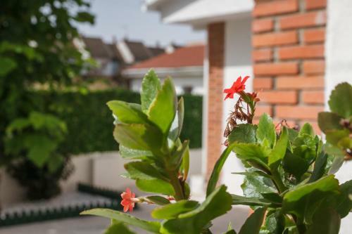 Casa Tur�stica El Navego