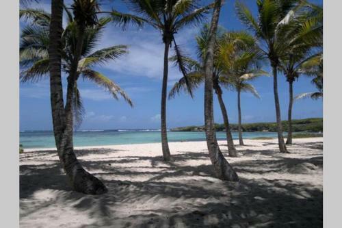 Apartamento Samana, Joli Studio Renov� Sublime Plage Piscine