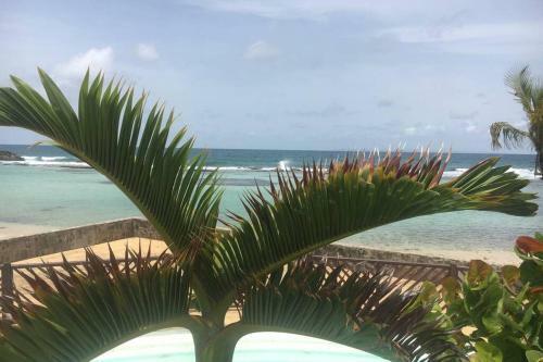 Apartamento Superbe Studio Sup�rieur Neuf Avec Balcon
