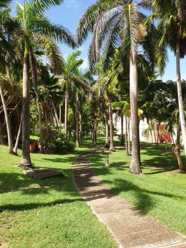 Apartamento Ti �lusandro