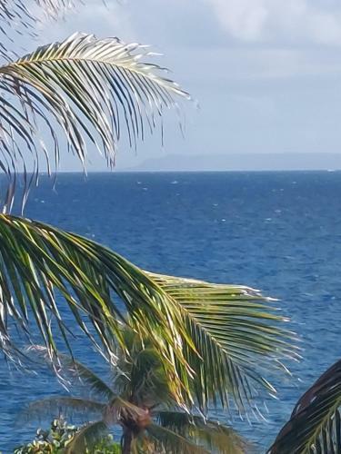 Apartamento Alizea Appartement Vue Mer Et Plage