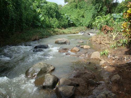 Les Gites De Bassignac