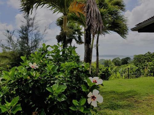 Villa Bois D�sir