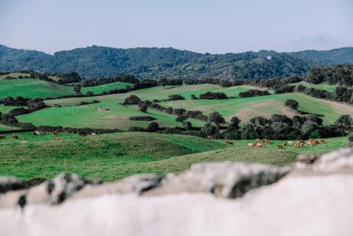 Agroturismo Casa Rural Reformada Bini Aumaia