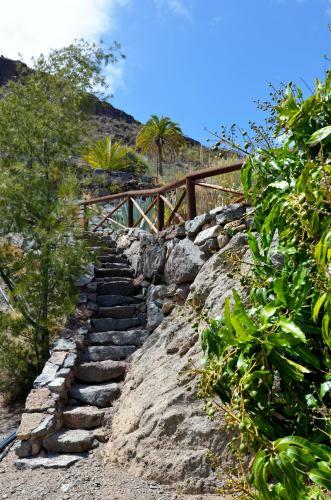 Finca Las Olivas