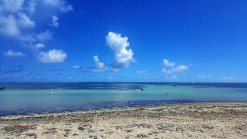 Apartamento Studio Bwa Banbou Dans Villa Fleurs Des Iles