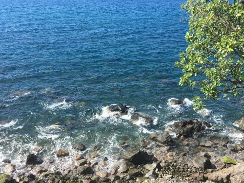 G�te Maison Flandrin Guadeloupe