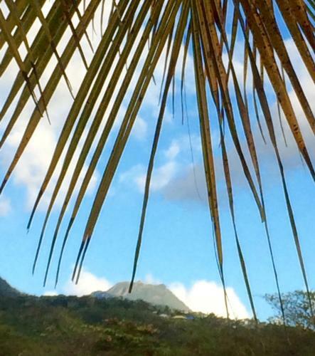 G�te Maison Flandrin Guadeloupe