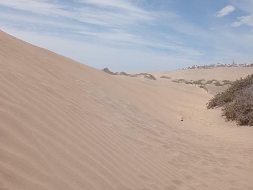 Apartamento Family House Maspalomas II