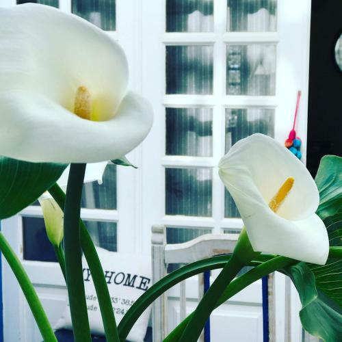 B&B Villacaruso Marbella-elviria-costa Del Sol