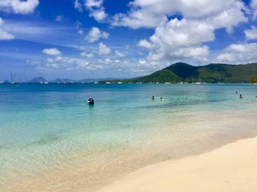 Apartamento Le Hamo - Tropical : T2 Piscine Proche Plage