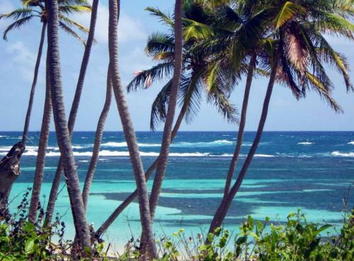 Apartamento Le Hamo - Tropical : T2 Piscine Proche Plage