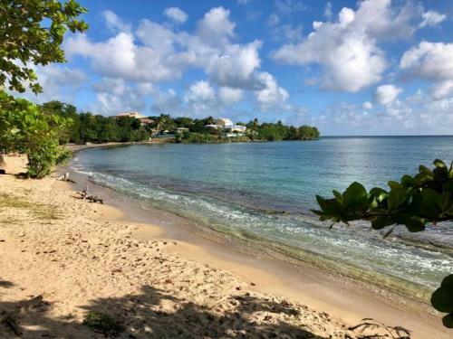 Hostal Les Bougainvilliers Tropicaux