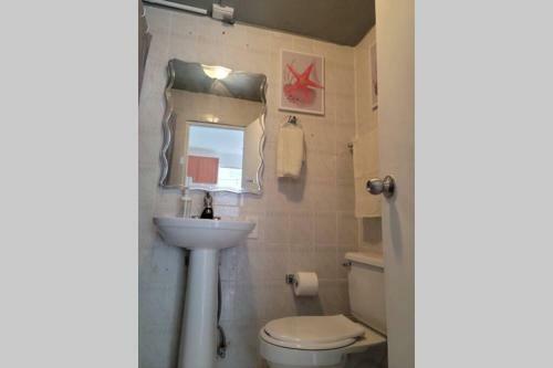 Apartamento Relaxing Tropical Studio