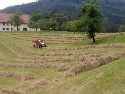 Agroturismo Urlaub Am Bauernhof Wenigeder