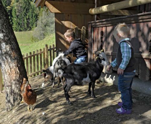 Agroturismo Pension Bergbauernhof Irxner