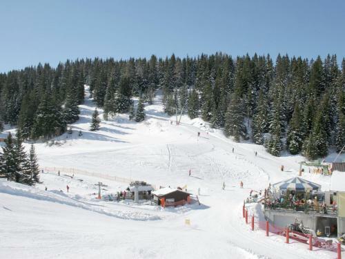 Chalet Alpenrose
