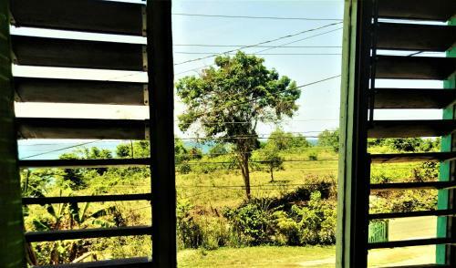 Bed & Breakfast Toga Guest House