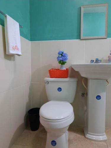 Apartamento Spacious 2 Bedroom In Portmore With Pool