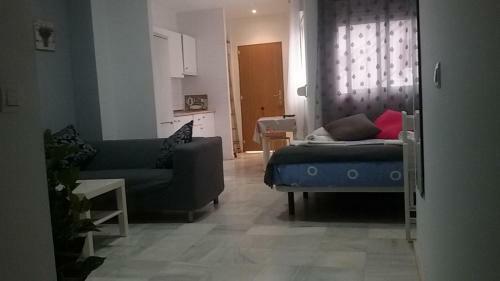 Apartamentos Calle Eduardo Oc�n