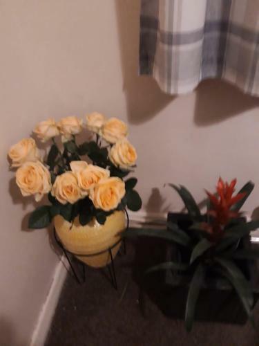 Apartamento Saint Bess House