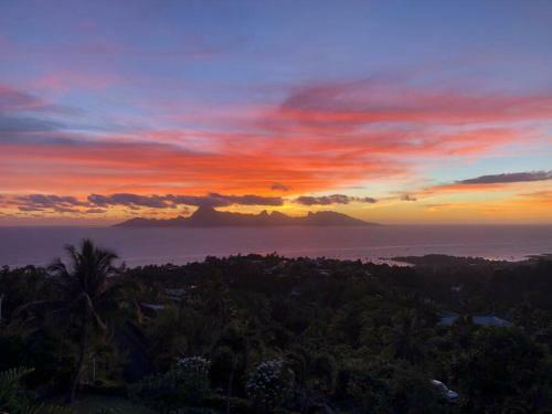 Apartamento Suite Totalement �quip�e Avec Vue Imprenable!!!!