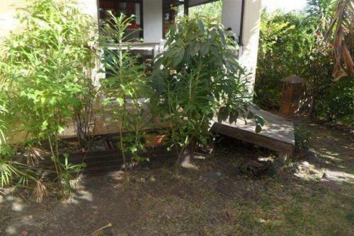 Apartamento Cosy F2 Duplex With Garden And Pool