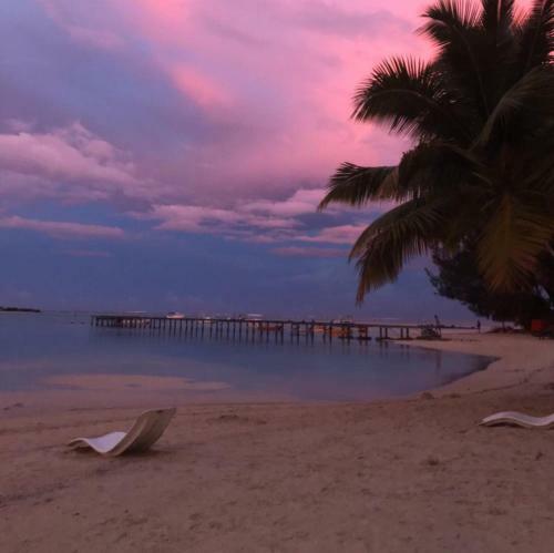 Beach De R�ves De Moorea