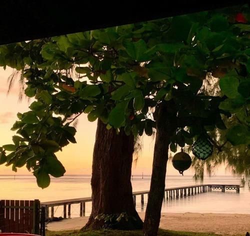 Beach De R�ves De Moorea